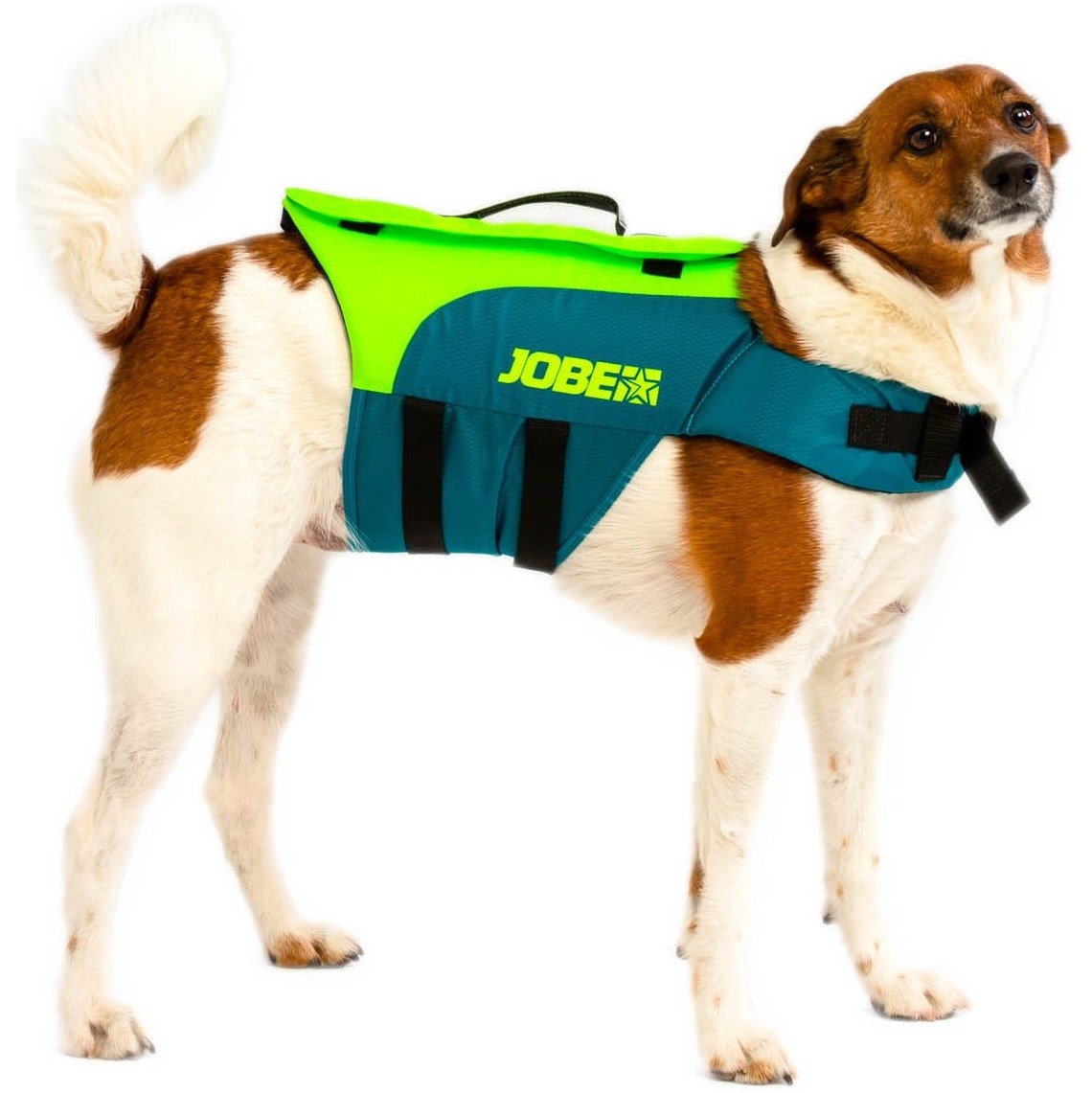 2026 Jobe Pet Vest 240023001 - Teal