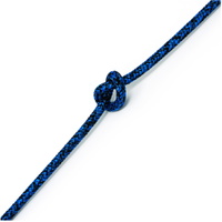 Evolution Blatt Beiboot Seil Blau