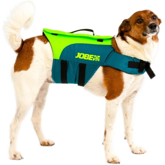 2024 Jobe Pet Vest 240023001 - Teal