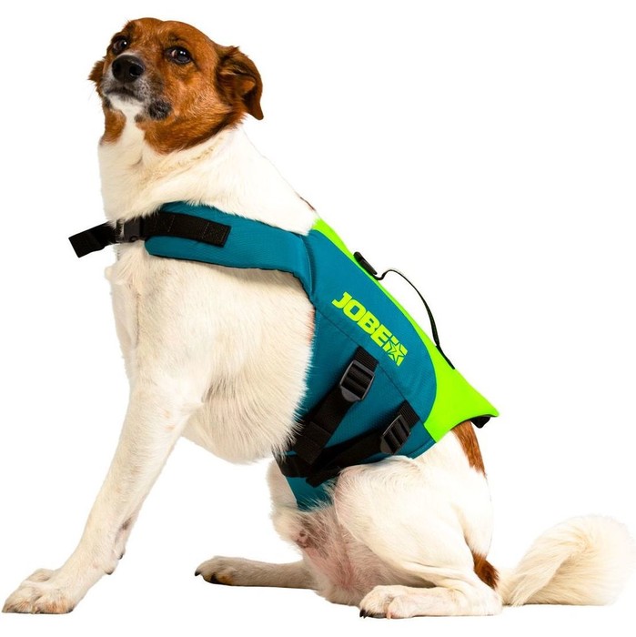 2024 Jobe Pet Vest 240023001 - Teal