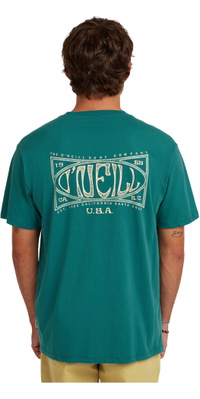 2026 ONeill M&auml;nner Box-Logo-T-Shirt 2850353 - Botanical Heat