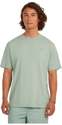2026 O'Neill Mens Small Logo T-Shirt 2850371 - Marble Arch