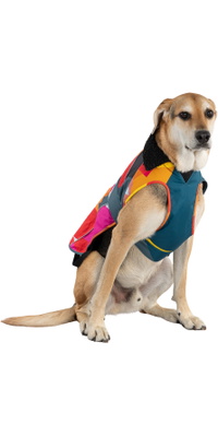 2026 Dryrobe Hundemantel V3DRDC - Abstract