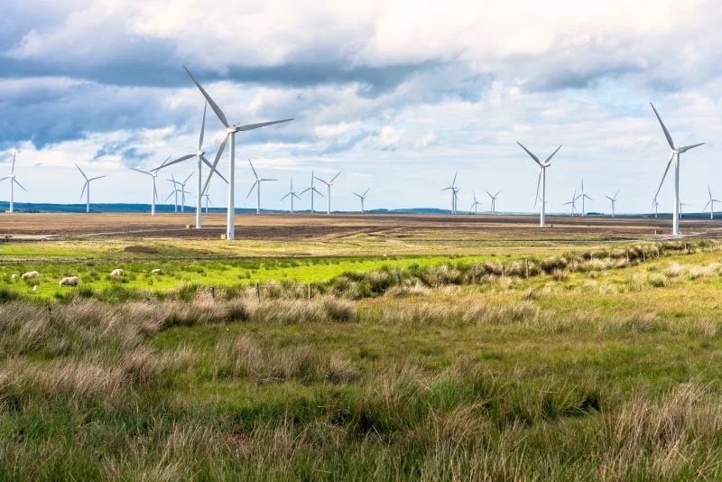 Row of wind turbines standing across green coastal marshland under a cloudy sky